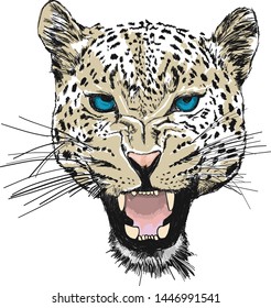 Leopard head silhouette, vector design.