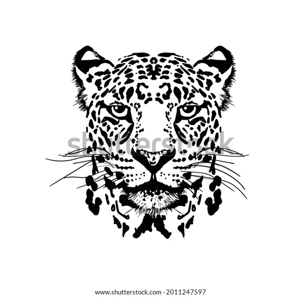 Leopard Head Vector Graphics Illustration Stock Vector (Royalty Free ...