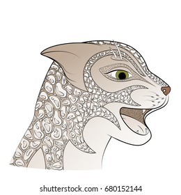 Leopard head vector illustration, Big gray cat. Wild animal.