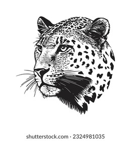 Leopard head vector illustration, hand drawn