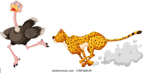 Leopard hunting ostriches in cartoon character on white background illustration