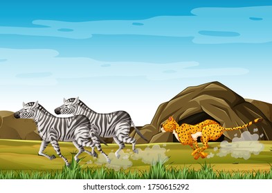 Leopard hunting zebras in cartoon character on the forest background illustration