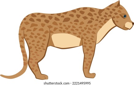 Leopard icon. Wild cat animal. Jungle predator