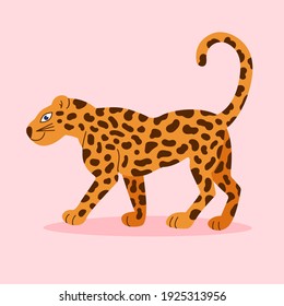 Leopard illustration on pink background. Exotic jungle animal