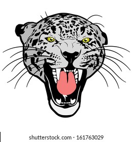 Leopard illustration vector