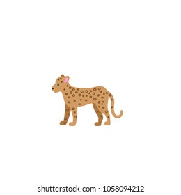 Leopard illustration. Vector color leopard illustration