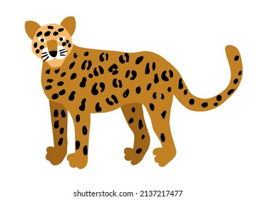 Leopard isolated on white background. Vector illustration