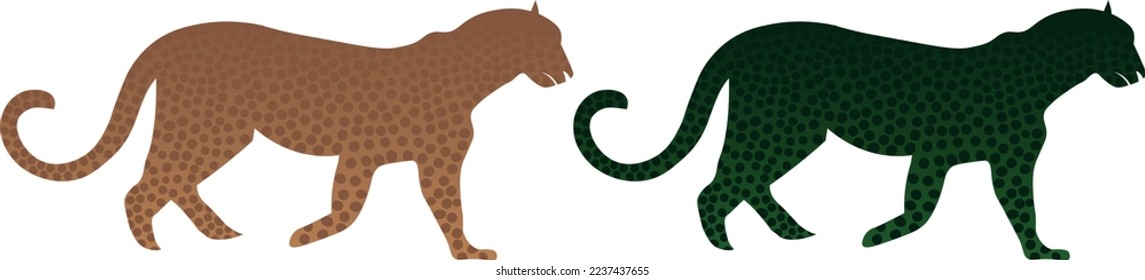 leopard  isolated on white background.