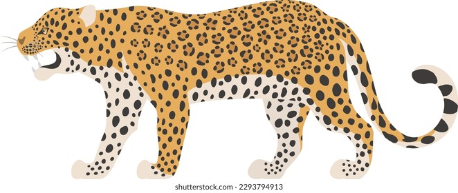 The leopard isolated on white background