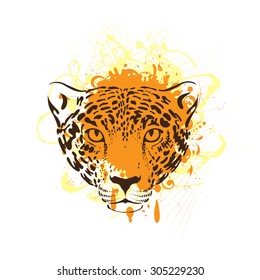 Leopard, jaguar
