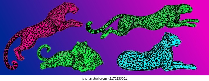 Leopard. Jaguar. Abstract, graphic, colorful in neon colors artistic portrait of a leopard on a dark purple background.