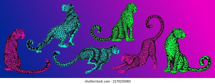 Leopard. Jaguar. Abstract, graphic, colorful in neon colors artistic portrait of a leopard on a dark purple background.