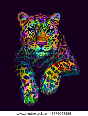 
Leopard / Jaguar. Abstract, graphic, colorful in neon colors artistic portrait of a leopard on a dark purple background.