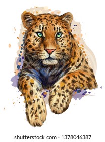 

Leopard / Jaguar. Color, graphic, artistic portrait of a leopard in a picturesque style on a white background with splashes of watercolor.