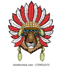 Leopardo, cara de jaguar. Retrato de animales salvajes. El discurso de los indios con plumas. Estilo boho.