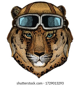 Leopard, jaguar face. Portrait of wild animal. Vintage aviator helmet with googles.