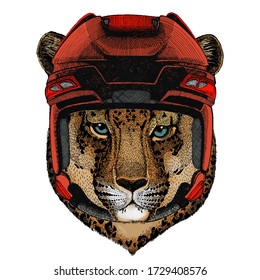 Leopard, jaguar face. Portrait of wild animal.