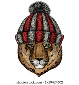 Leopard, jaguar face. Portrait of wild animal. Knitted wool winter hat.
