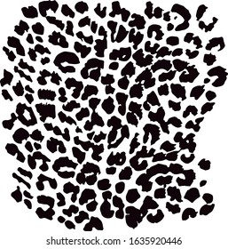 leopard jaguar graphic vector texture