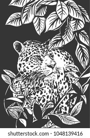 Leopard in the jungle, graphic drawing