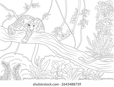 Leopardo na arte da linha da selva, preto e branco esboço ilustração de um leopardo manchado descansando em um galho de árvore em uma densa selva tropical ou floresta. Pronto para colorir.