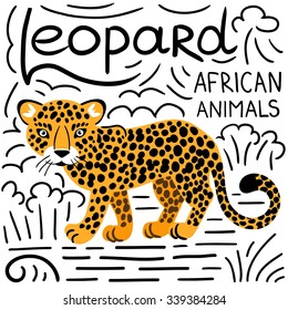 Leopard with lettering on a white background isolated. African animals background