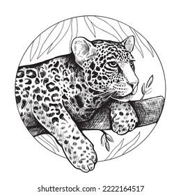 El leopardo está en una rama de árbol. Ilustración gráfica redonda de vectores en blanco y negro dibujada a mano.