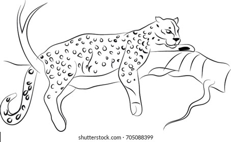 Leopard line art