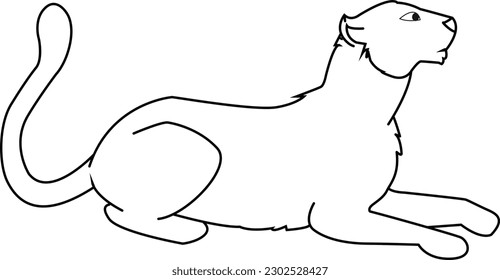 Leopard line art vector illustration.