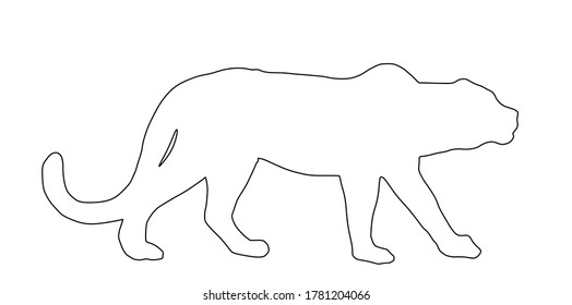 Leopard line contour vector illustration isolated on white background. Wild cat in hunt lurking pray. Panther symbol.
Silent predator. Big wild cat from Africa and Asia.