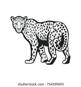 Leopard logo animals vector design wildlife illustration