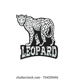 Leopard logo animals vector design wildlife illustration