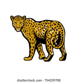 Leopard logo animals vector design wildlife illustration