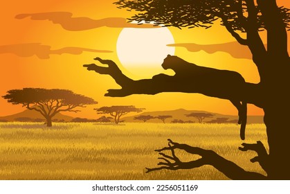 Ein Leopard liegt während des Sonnenuntergangs in der afrikanischen Natur auf einem Baumzweig, Vektorgrafik einzeln, EPS