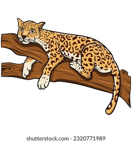 Leopard lying on a tree branch