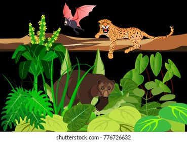 Leopard lying on the tree trunk, bear wlks in the jungle, wildlife theme vector illustration.