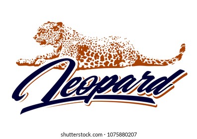 Leopard lying on white with calligraphic typography. Vector design template.