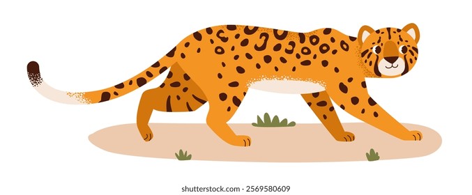 Leopard in its natural habitat. Savannah animal. Flat vector illustration.