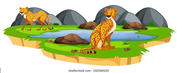 Leopard in the nature illustration