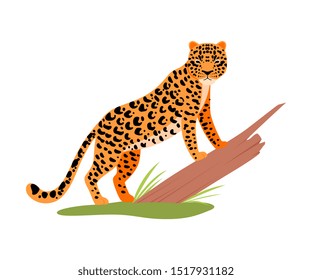 Leopard next to a tree. Vector illustration on a white background.