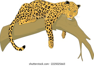 Leopard on Branch Vector Illustration