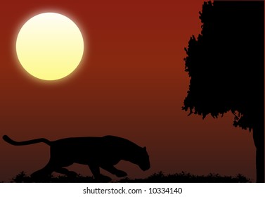 The leopard on night hunting