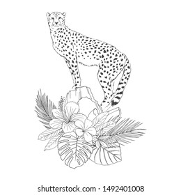 Leopard on rocks hand drawn sketch. African wild cat, cheetah with exotic floral decor black and white illustration. Monochrome jaguar engraving with blooming Hibiscus, Plumeria flowers, palm leaves