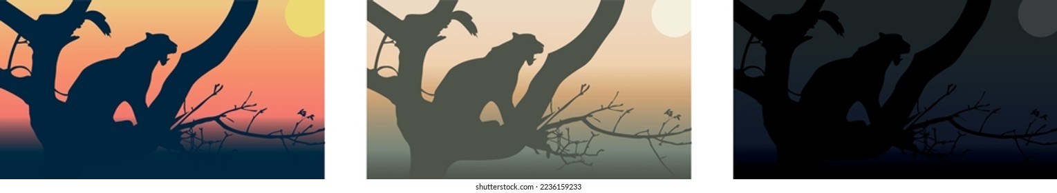 Leopard on the tree watching the sunrise. Vector illustration. 