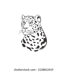 Leopard on white background. Vector Wild Animal. Safari.