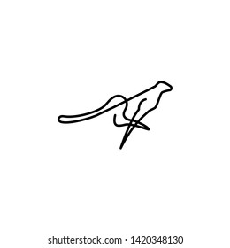Leopard one line icon. Element of animal icon. Thin line icon for website design and development, app development. Premium icon
