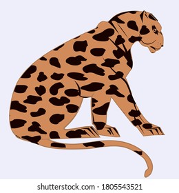 Leopard - orange with black spots - isolated on white background - vector. Animal world