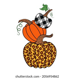 
 Leopard, orange and  plaid pumpkin.
Happy Thanksgiving . Harvest season. Vector illustration.