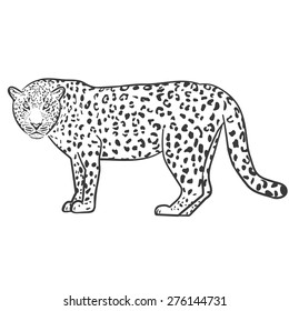 Leopard Outline Illustration Vector