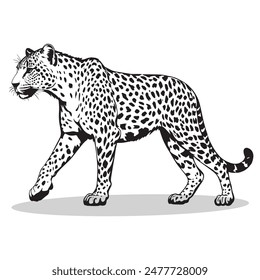 Leopard outline and symbols. Dark level variety basic exquisite white foundation Leopard animal vector and silhouette icon.